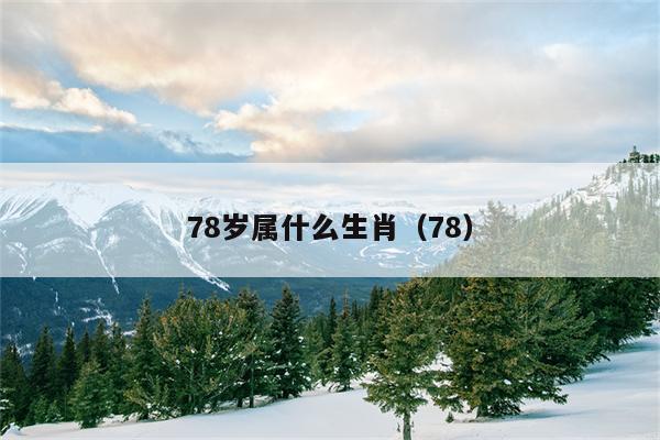 78岁属什么生肖（78）