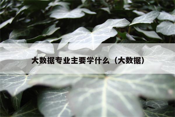 大数据专业主要学什么（大数据）