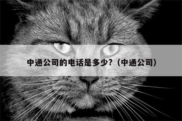 中通公司的电话是多少?（中通公司）