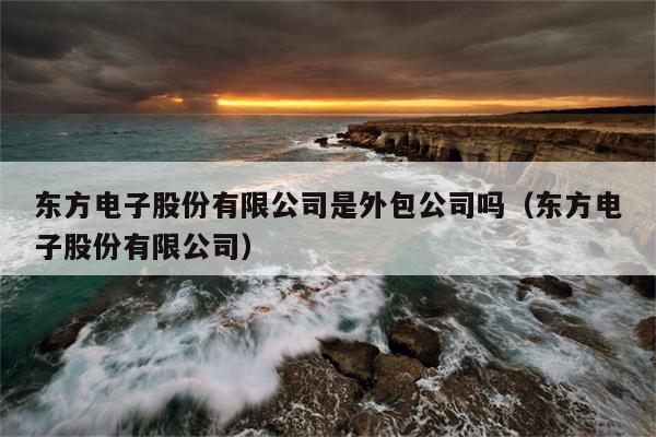 东方电子股份有限公司是外包公司吗（东方电子股份有限公司）