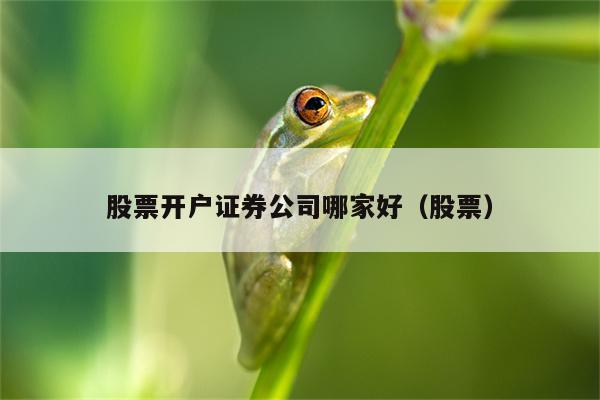 股票开户证券公司哪家好（股票）