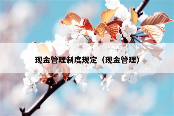 现金管理制度规定（现金管理）