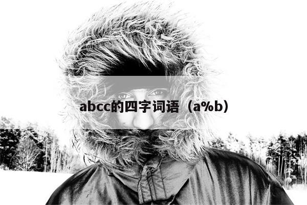 abcc的四字词语（a%b）