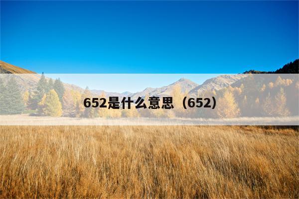 652是什么意思（652）