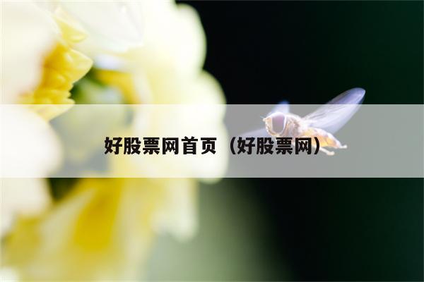 好股票网首页（好股票网）