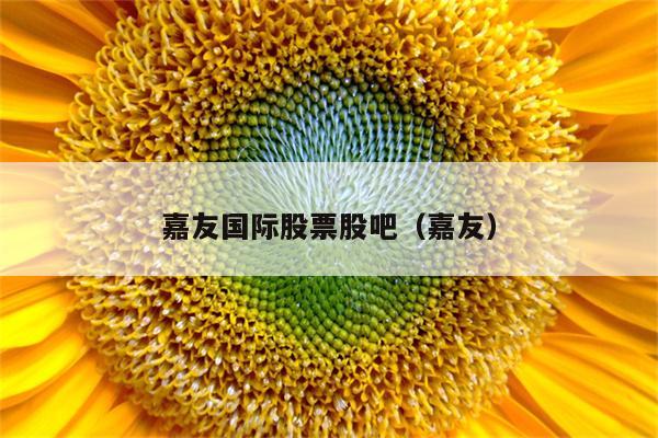 嘉友国际股票股吧（嘉友）