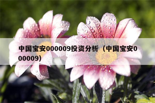 中国宝安000009投资分析（中国宝安000009）