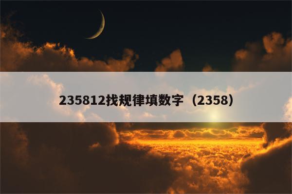 235812找规律填数字（2358）