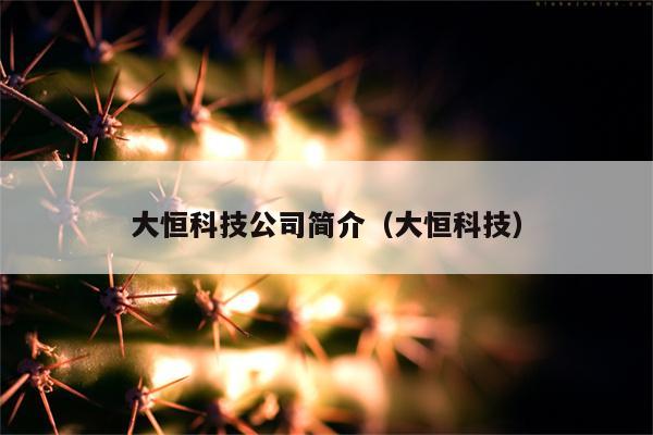 大恒科技公司简介（大恒科技）