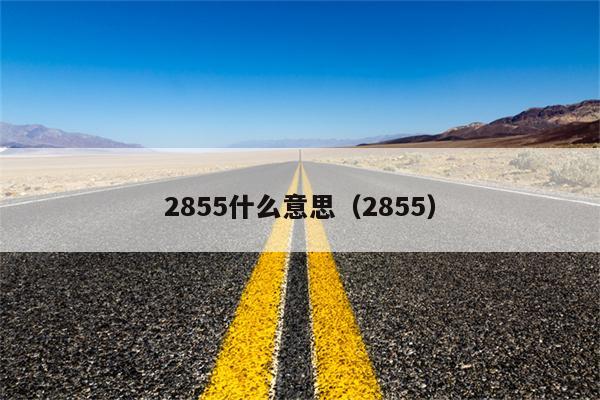 2855什么意思（2855）