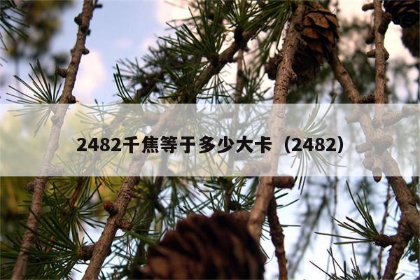 2482千焦等于多少大卡（2482）