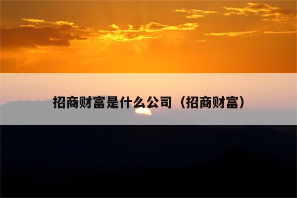 招商财富是什么公司（招商财富）