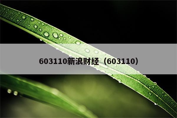 603110新浪财经（603110）