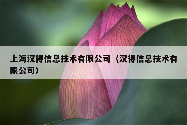 上海汉得信息技术有限公司（汉得信息技术有限公司）