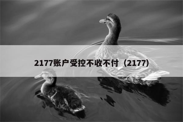 2177账户受控不收不付（2177）