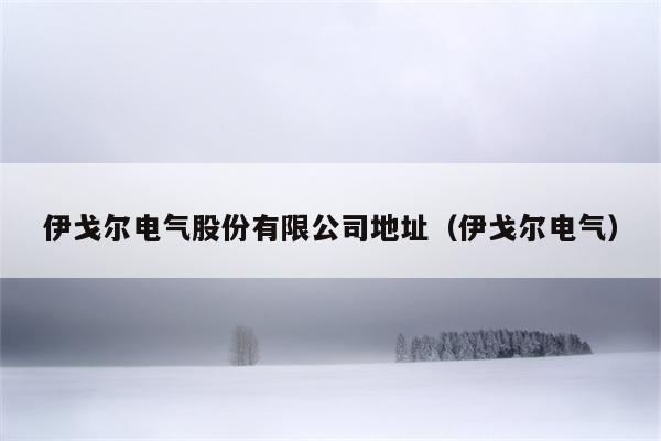 伊戈尔电气股份有限公司地址（伊戈尔电气）