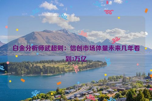 白金分析师武超则：信创市场体量未来几年看到3万亿