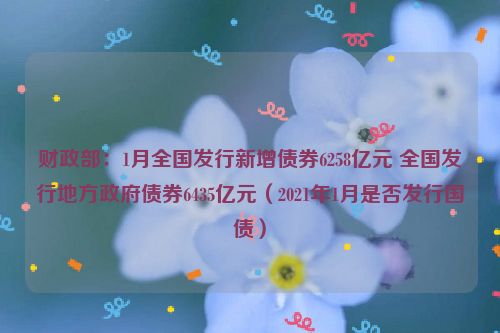 财政部：1月全国发行新增债券6258亿元 全国发行地方政府债券6435亿元（2021年1月是否发行国债）