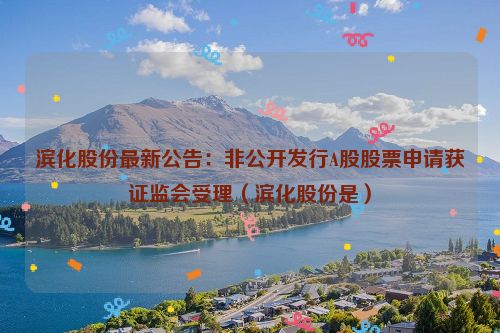 滨化股份最新公告：非公开发行A股股票申请获证监会受理（滨化股份是）