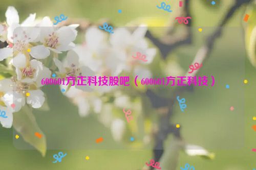 600601方正科技股吧（600601方正科技）