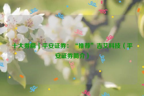 十大券商｜平安证券：“推荐”吉艾科技（平安证券简介）