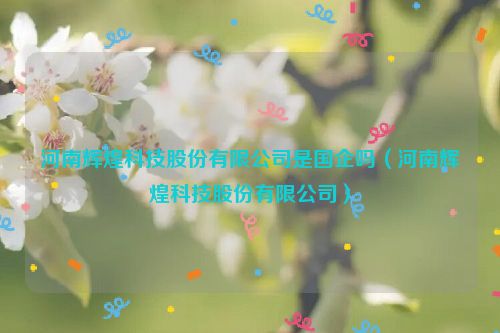 河南辉煌科技股份有限公司是国企吗（河南辉煌科技股份有限公司）