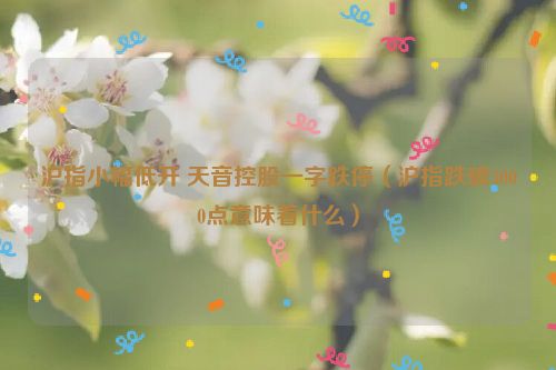 沪指小幅低开 天音控股一字跌停（沪指跌破3000点意味着什么）