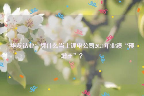 华友钴业：凭什么当上锂电公司2021年业绩“预增王”？