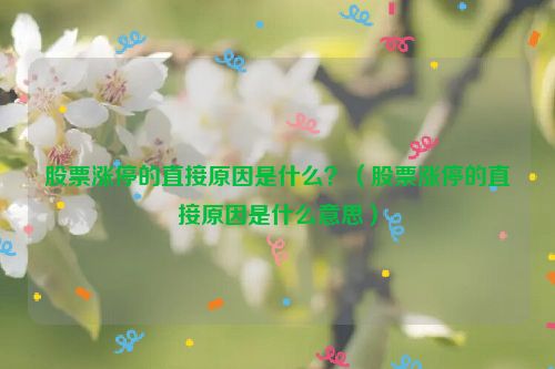 股票涨停的直接原因是什么？（股票涨停的直接原因是什么意思）