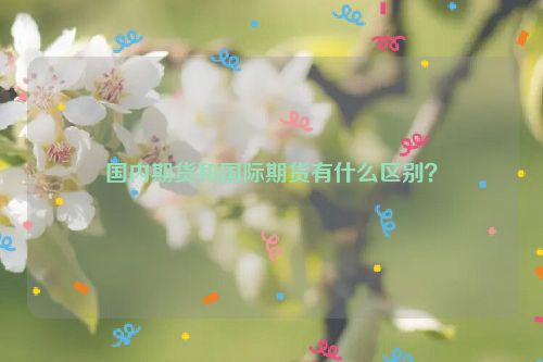 国内期货和国际期货有什么区别？