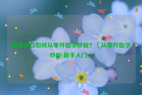 新手小白如何从零开始学炒股？（从零开始学炒股(新手入门)）