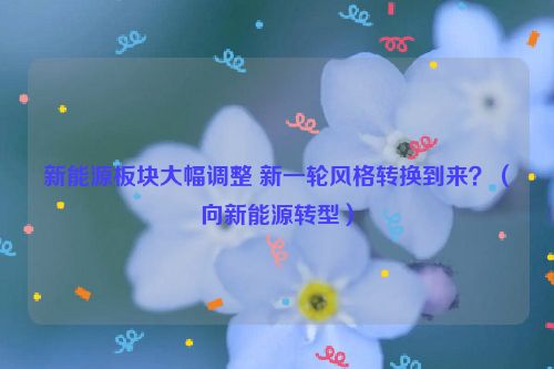 新能源板块大幅调整 新一轮风格转换到来？（向新能源转型）