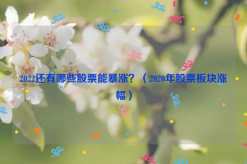 2022还有哪些股票能暴涨？（2020年股票板块涨幅）