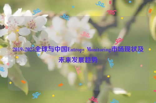 2019-2025全球与中国Entropy Monitoring市场现状及未来发展趋势