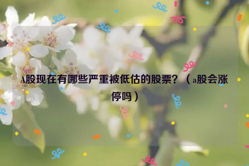 A股现在有哪些严重被低估的股票？（a股会涨停吗）