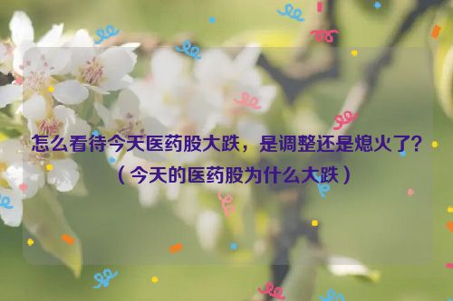 怎么看待今天医药股大跌，是调整还是熄火了？（今天的医药股为什么大跌）