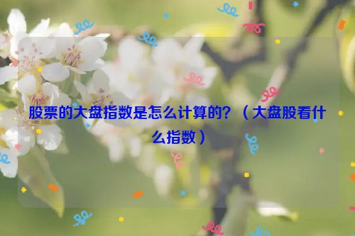 股票的大盘指数是怎么计算的？（大盘股看什么指数）