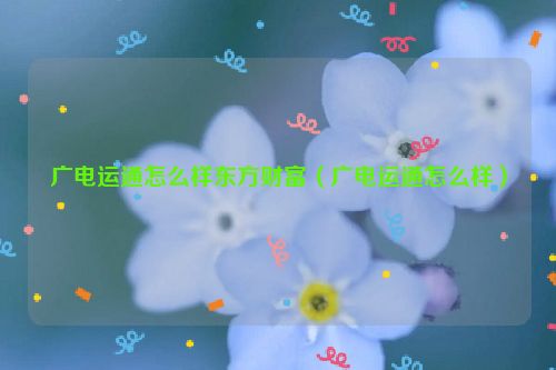 广电运通怎么样东方财富（广电运通怎么样）