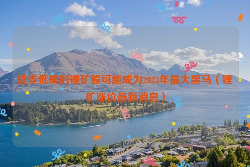 这支低调的锂矿股可能成为2023年最大黑马（锂矿涨价最新消息）