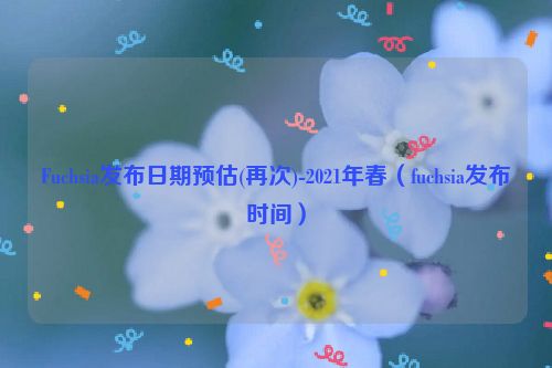 Fuchsia发布日期预估(再次)-2021年春（fuchsia发布时间）