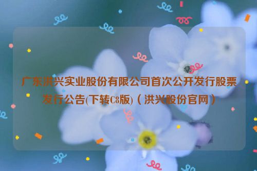 广东洪兴实业股份有限公司首次公开发行股票发行公告(下转C8版)（洪兴股份官网）