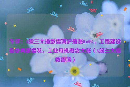 午评：A股三大指数震荡沪指涨0.69%，工程建设板块再度爆发，工业母机概念大涨（A股三大指数震荡）