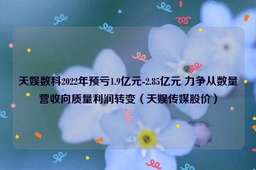 天娱数科2022年预亏1.9亿元-2.85亿元 力争从数量营收向质量利润转变（天娱传媒股价）